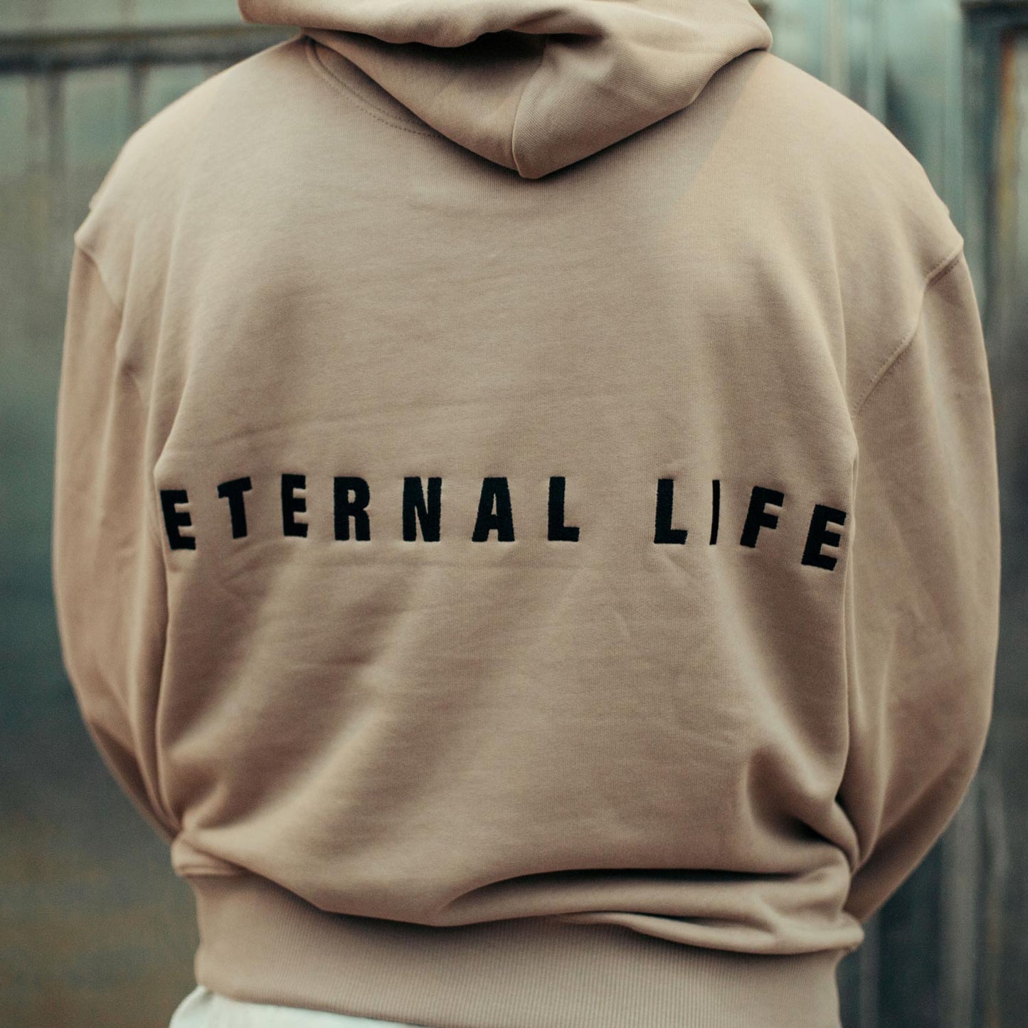 Good-Natured-Eternal-Life-Hoodie-nomad-detail-back