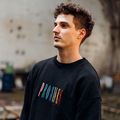 Good-Natured Promises Vintage Sweater schwarz
|| Ben ist 1,85m groß, normal gebaut und trägt eine XL.