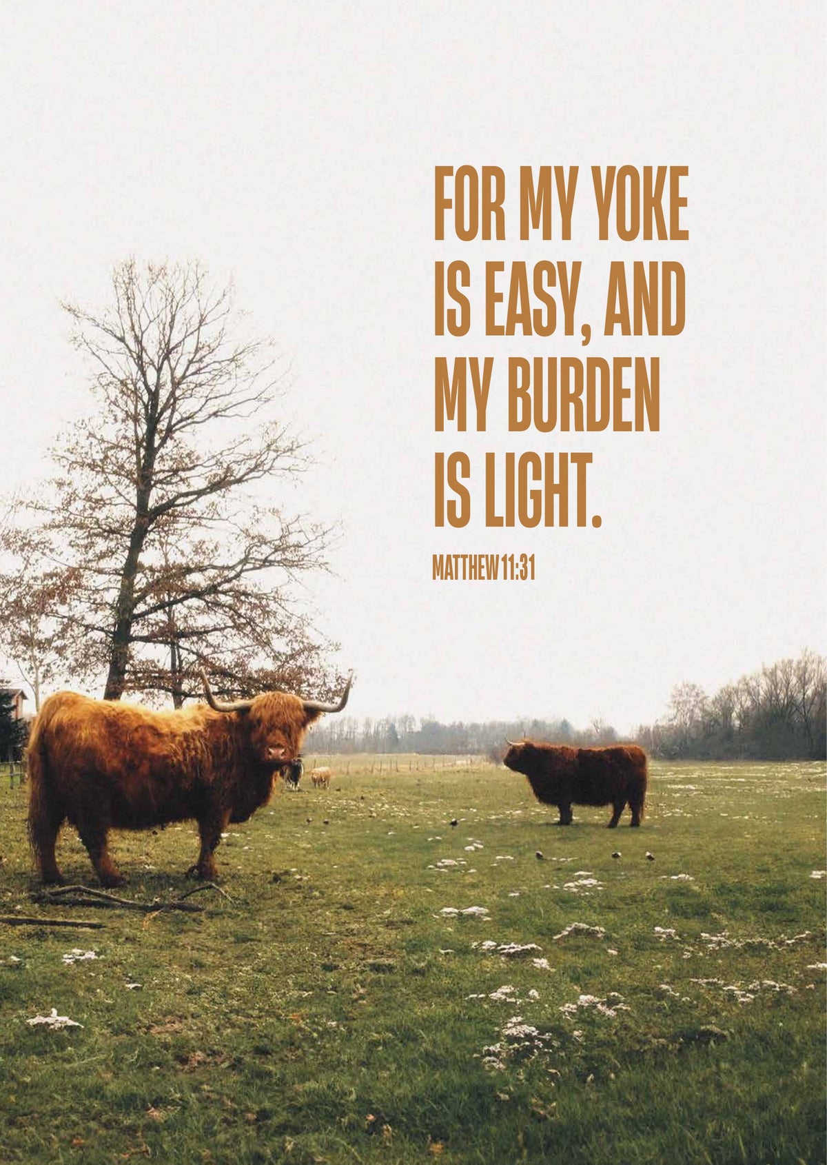 Easy Yoke - Poster